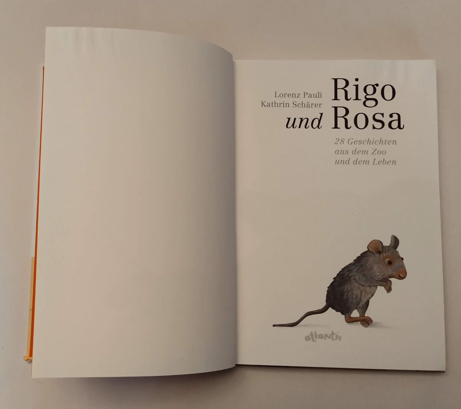 Libri: Rosa Maus und Rigo Leopard / Lorenz Pauli + Kathrin Schärer – Usato da Bellach venduto da JingleJerry 2
