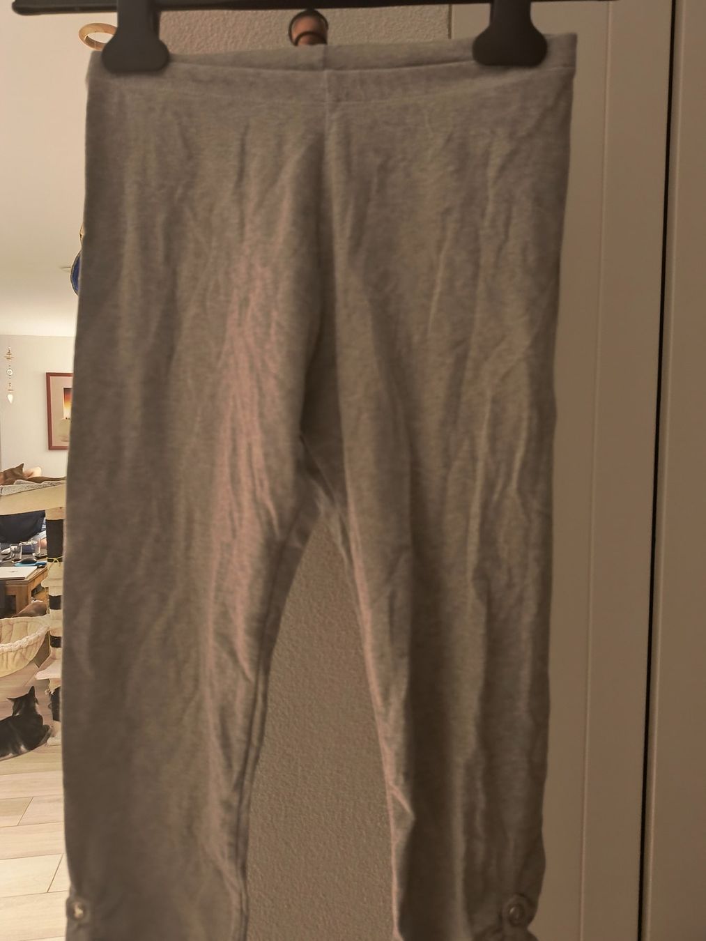 Calze & Collant: Graue Leggings Mädchen gr 164 Neu – Nuovo (secondo la descrizione) da Schöfflisdorf venduto da kin_2dp9