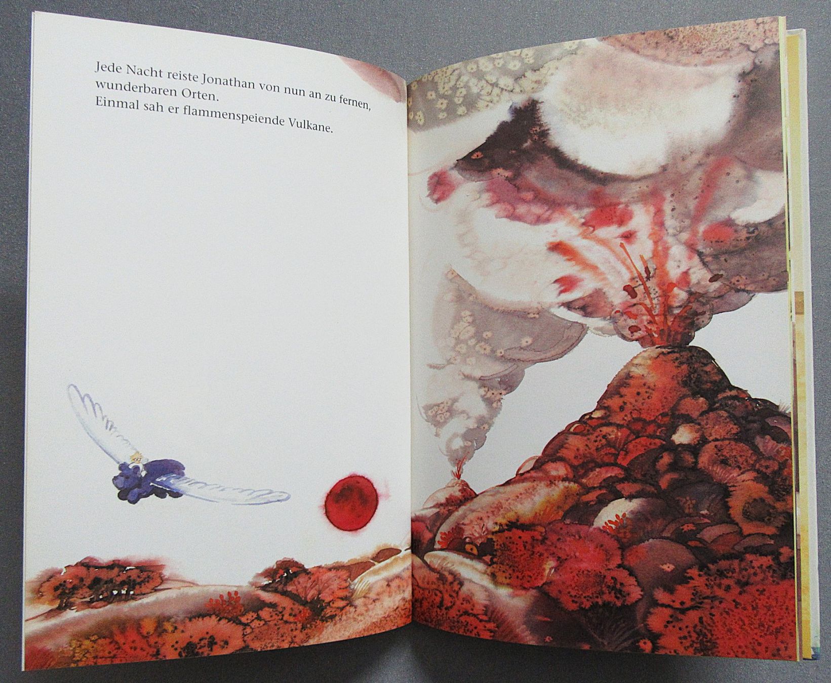 Libri: Der blaue Bär - Bilderbuch illustriert von Daniel Küttel – Usato da Auenstein venduto da Padabimbim 5