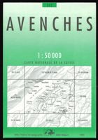 Landkarte Avenches 1993