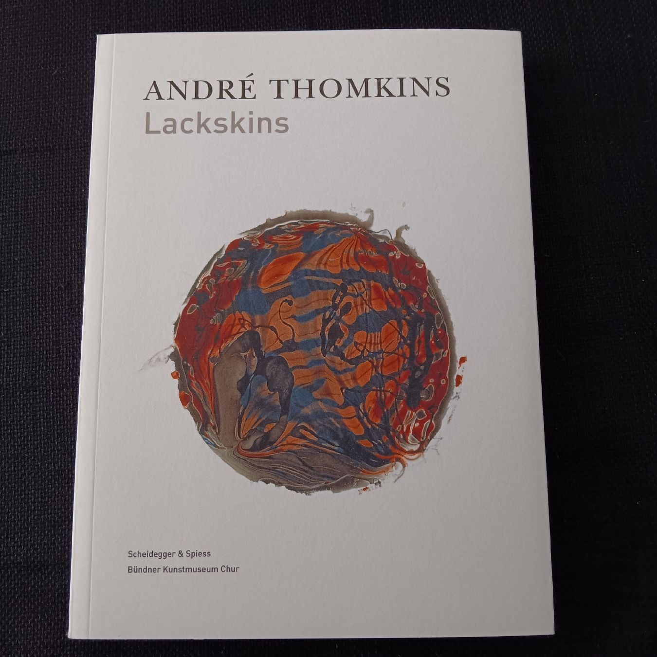 Bücher: André Thomkins Lackskins Buch – Gebraucht aus Chur von chr_b2cn