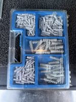 Dübel Sortiment Set 4 bis 10 mm in Kunststoffkoffer neu