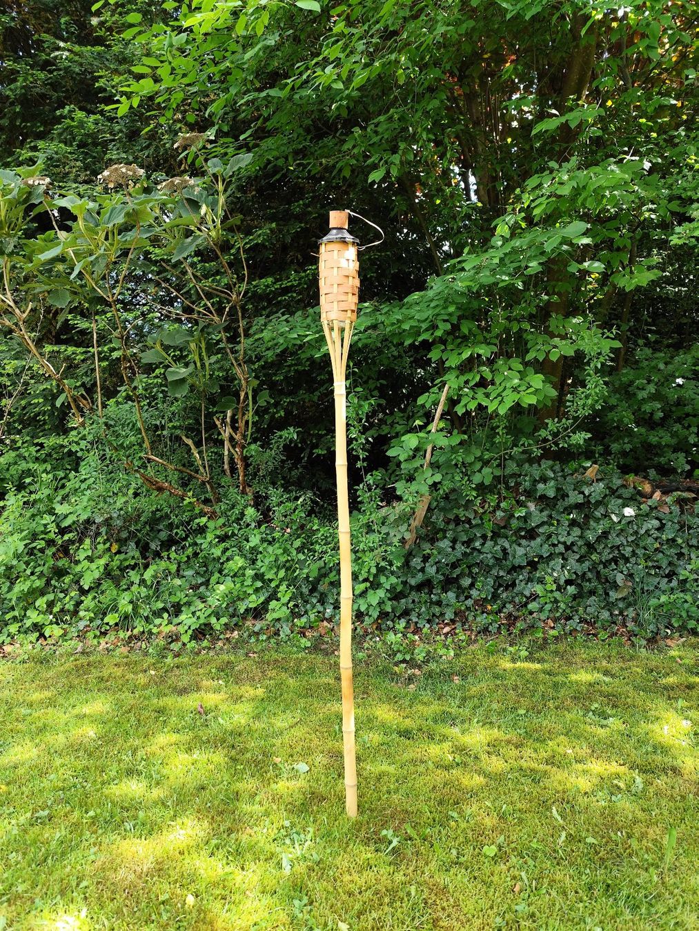 Altro in Decorazioni & Accessori: 4 Gartenfackel / Ölfackel – Usato da Wohlen AG venduto da Superdaimo