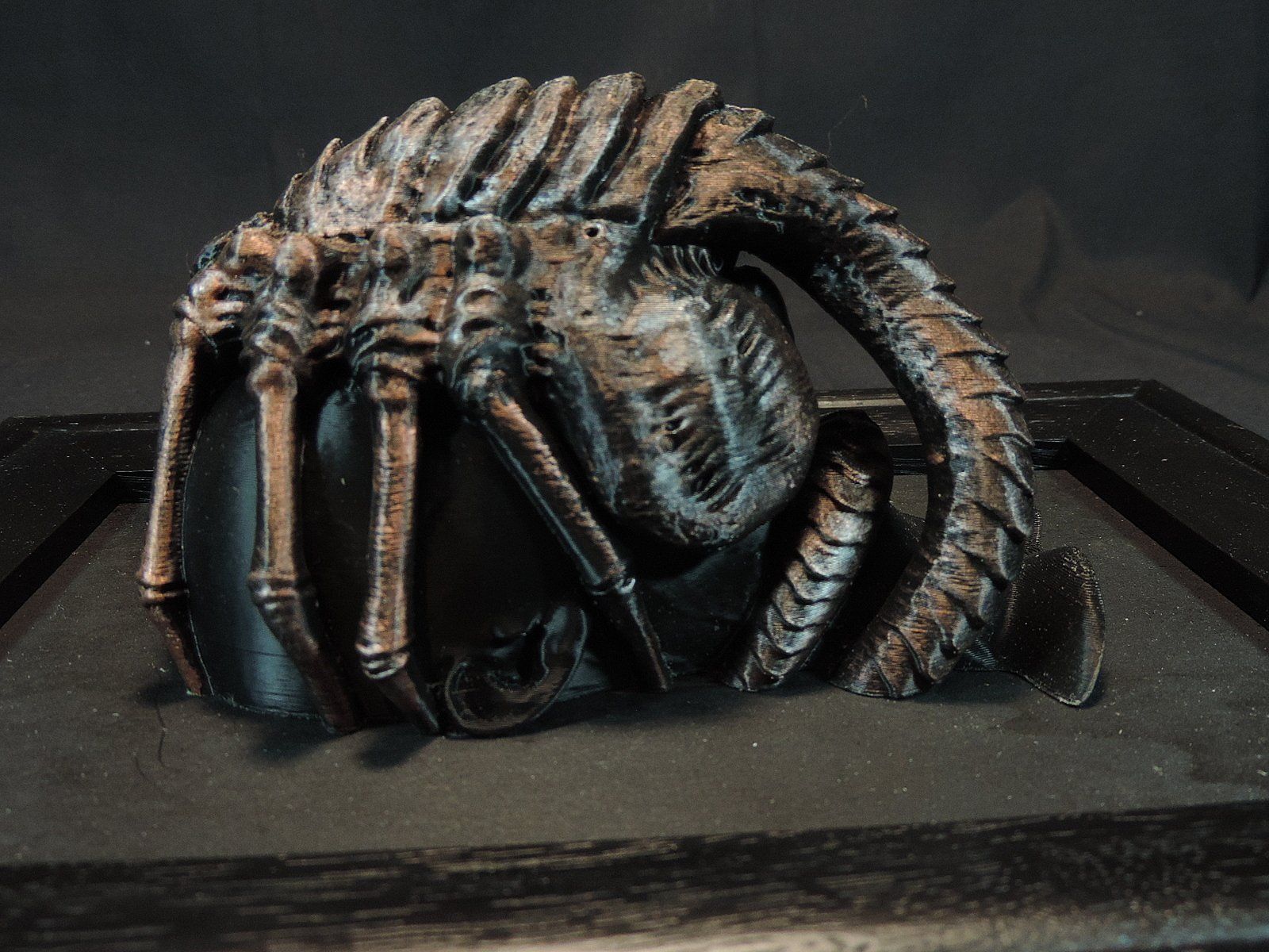 Statuette: Alien Facehugger Skulptur im Holzrahmen – Usato da Duggingen venduto da roterbambus 8