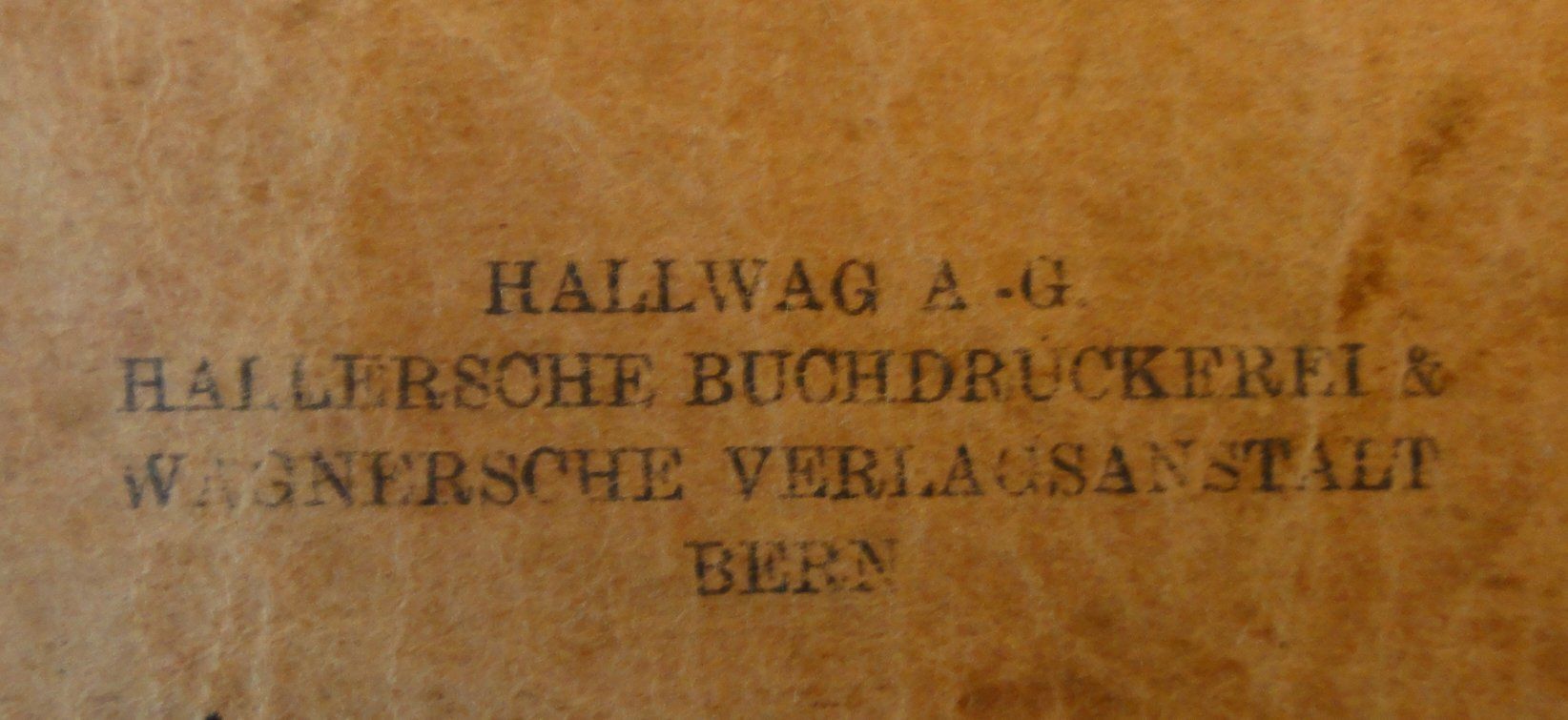 Libri: Schatz-Büechli altes Liedbuch von 1924 – Usato da Villmergen venduto da Spidi6 2