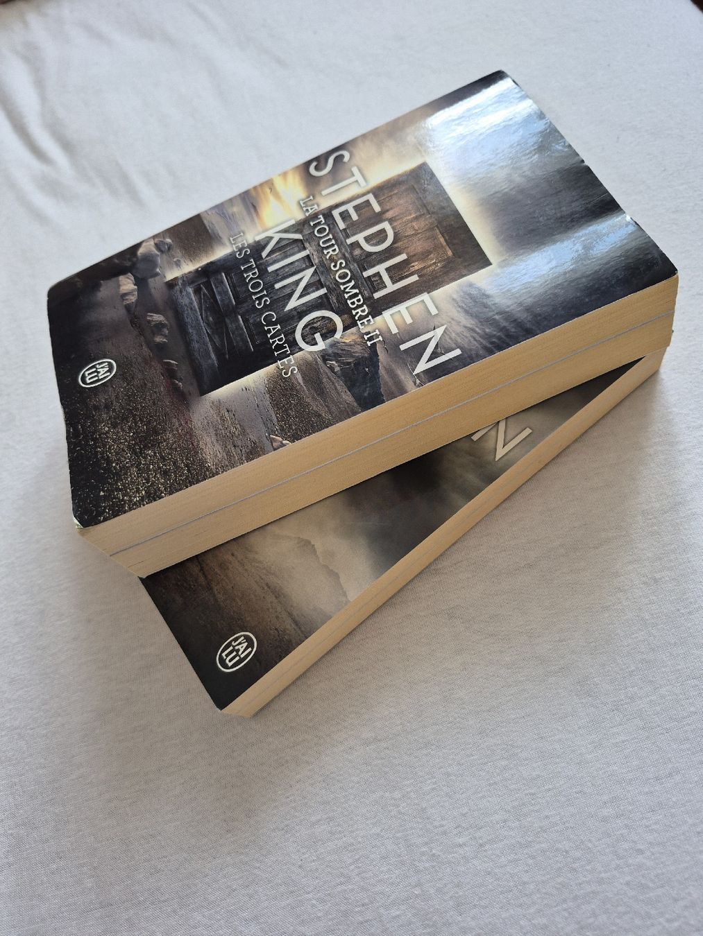 Bücher: Stephen King - La Tour Sombre 1 et 2 – Gebraucht aus Villars-sur-Glâne von dia_2q2l 3
