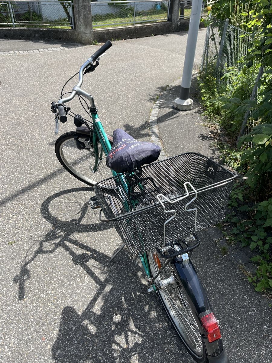 Vélos: Damenvelo – D'occasion à Trimbach par Kurtu 4