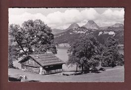 RÜTLI - Mythen - 1957