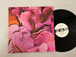 Still Life LP