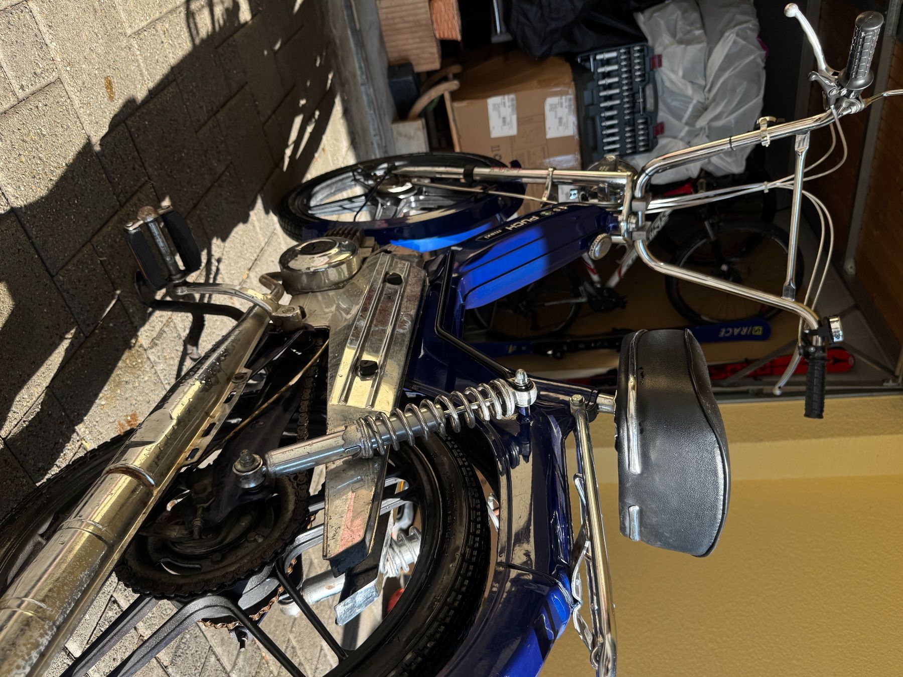 Puch Ciclomotori: Puch Maxi S, Redbull Blau – Usato da Bichwil venduto da ssa_7fmj 1