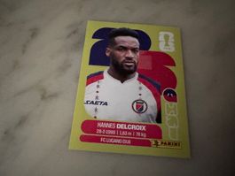 Panini FIFA Fussball WM 2026 Sticker Hannes Delcroix HAI 9