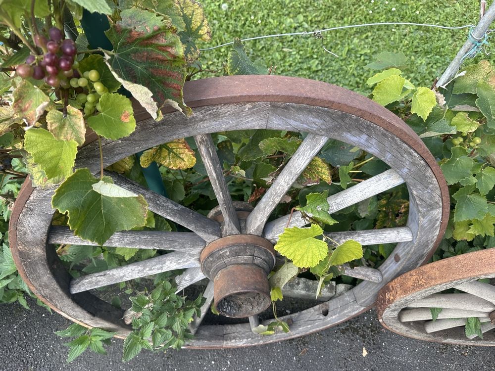 Sitemapcdatahttpsshopinf Inetcomidee Deco Roue De Charrette
