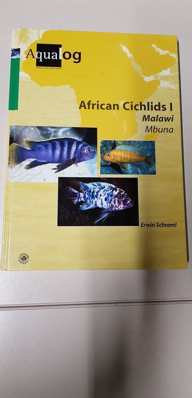 Libri: Aqualog, African Cichlids 1 – Usato da Beckenried venduto da Claduia