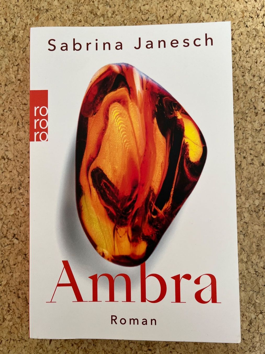 Libri: Taschenbuch "Ambra", Sabrina Janesch – Usato da Grosswangen venduto da Vita500