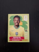panini 2026 bra 5