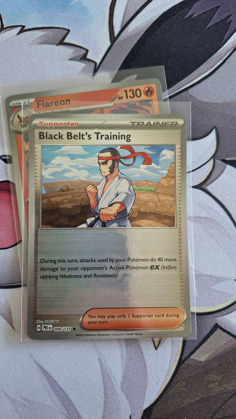 Pokémon Carte collezionabili: Black Belt's Training Pokeball Holo - Prismatic Evolution – Usato da Altstätten SG venduto da GGsGameshop