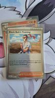Black Belt's Training Pokeball Holo - Prismatic Evolution