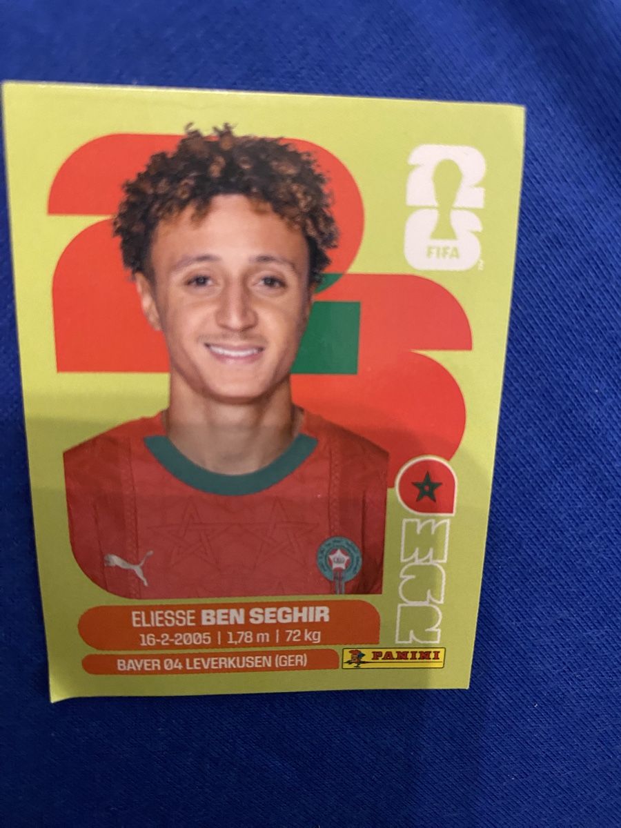 Panini Sammelbilder & Trading cards: Wm panini ben seghir – Neu (gemäss Beschreibung) aus Amriswil von samettigerli