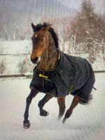 Bucas Irish Turnout Weidedecke, 100g, 135cm