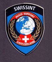 SWISSINT Kleber klein