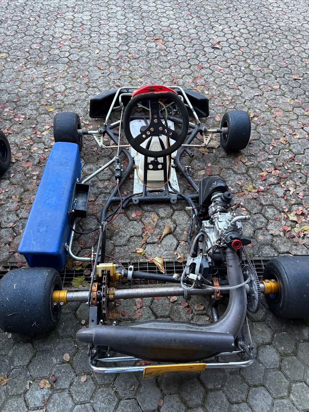Tony Kart Go-Kart: Zwei Rennkarts 125ccm – Usato da Matzendorf venduto da Runeyc 5