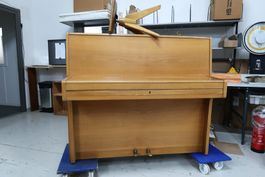 Sabel Piano No. 14430