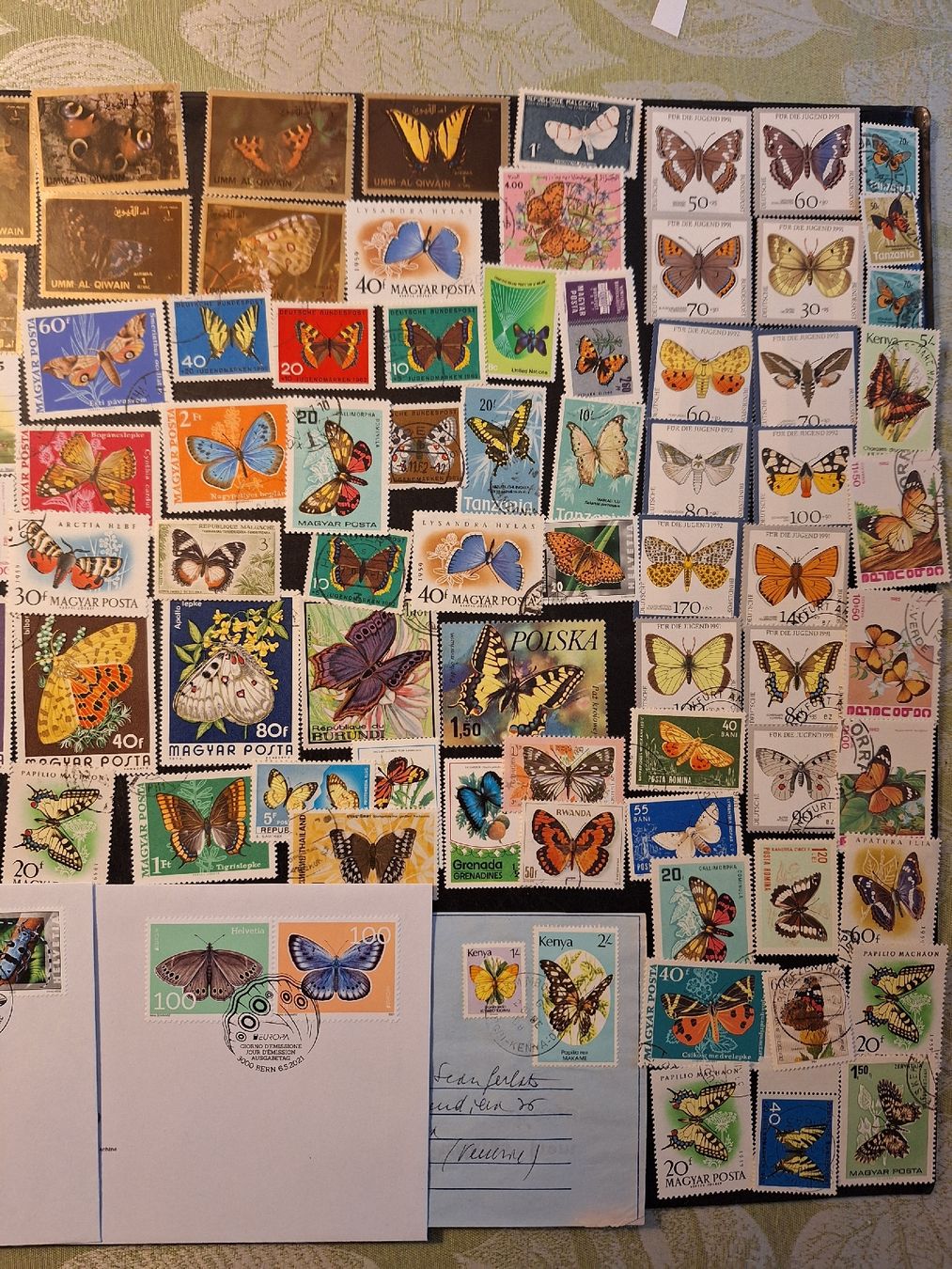 Tutti i francobolli: Schmetterlinge Briefmarken: schöne grosse Sammlung – Usato da Genolier venduto da Antoine30 8