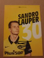 Sandro Lauper - signierte Autogrammkarte YB ⚽