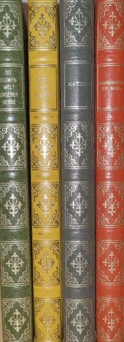 Libri: Avanti-Bücher – Usato da Beinwil SO venduto da Specialized05
