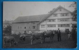 APPENZELLER BAUERNHAUS BELEBT PERSONEN + KüHE WO ?