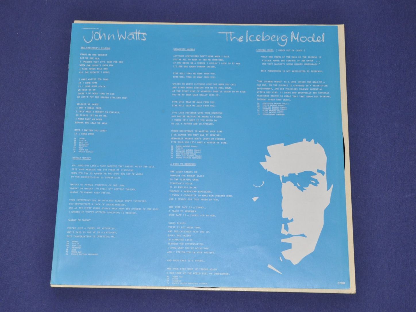 Dischi in vinile: LP John Watts - The Iceberg Model – Usato da Boll venduto da Theodora15 3