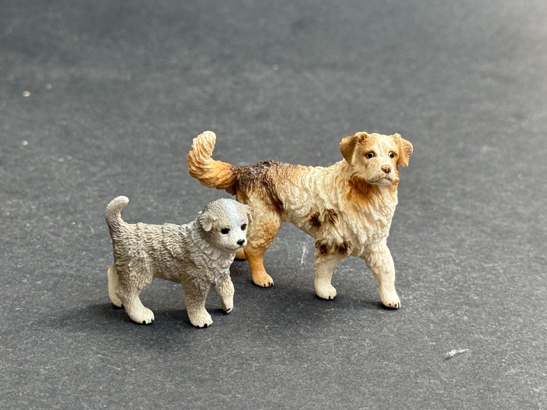 Schleich Figuren: Schleich Australian Shepherd Hund Hunde – Gebraucht aus Ennetbaden von mapa05