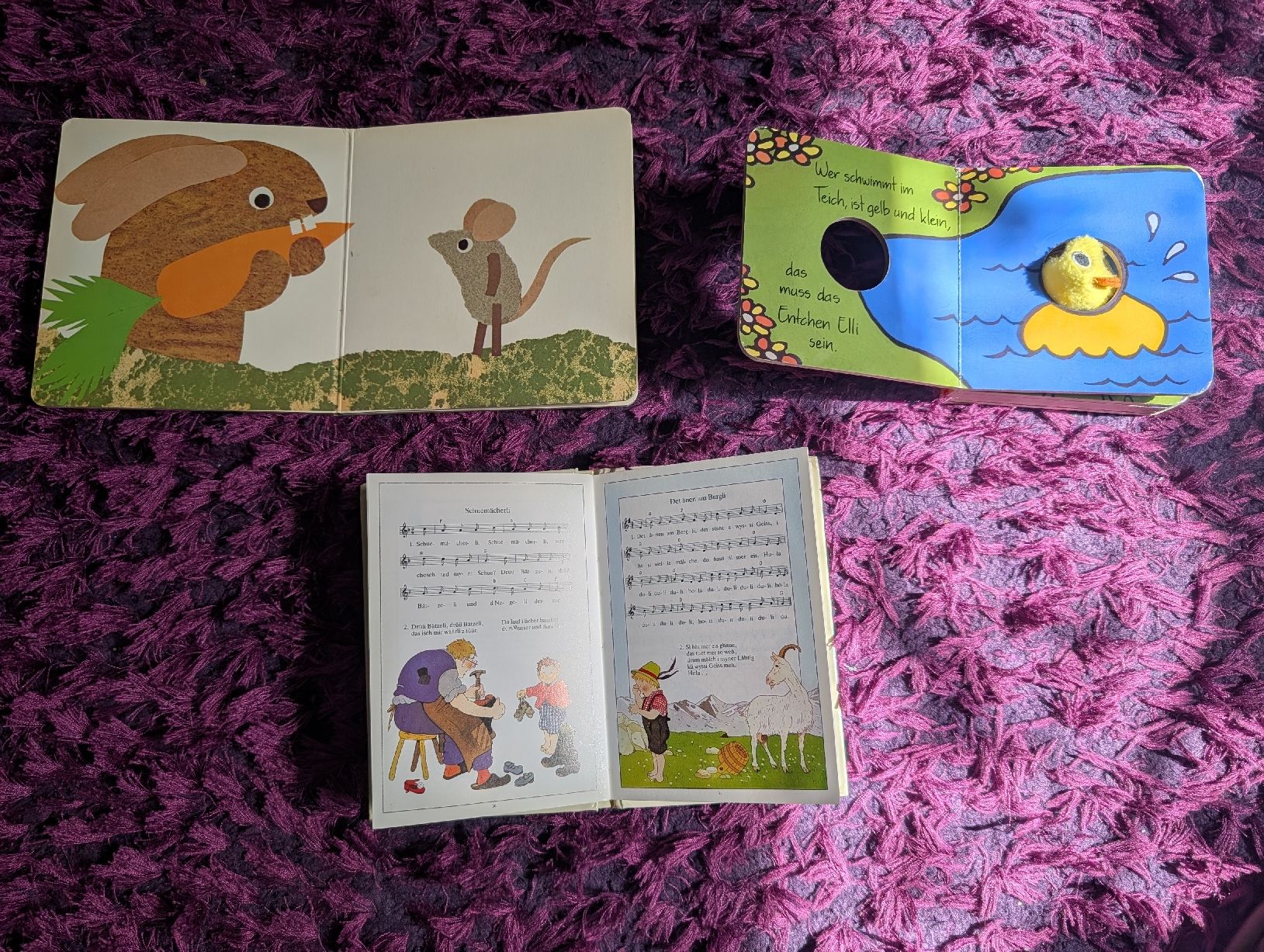 Libri: 3 Kinderbücher Schwiizer Chinderlieder/Elli das  Entchen/Wer – Usato da Thônex venduto da Dg5 1