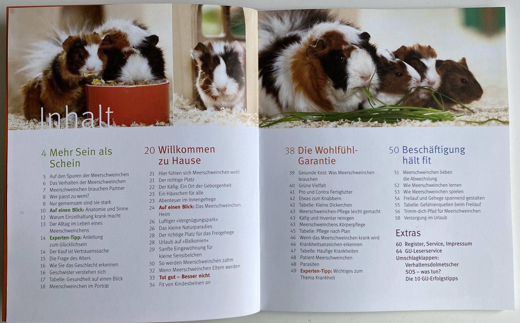 Libri: MEERSCHWEINCHEN - ...mit Temperament - GU Ratgeber – Usato da Hünenberg venduto da Ecila 1