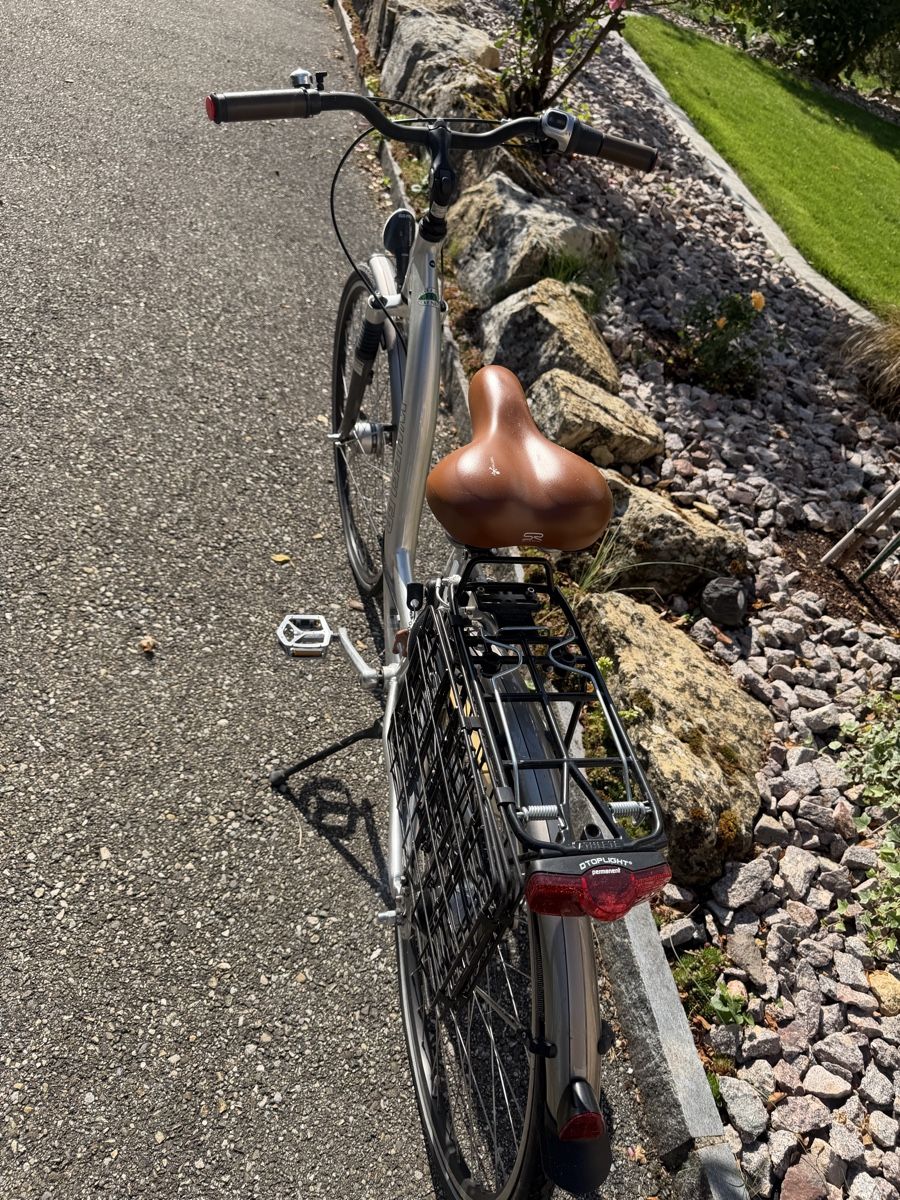 Wheeler Biciclette: Velo Wheeler – Usato da Trimbach venduto da ale5522 1