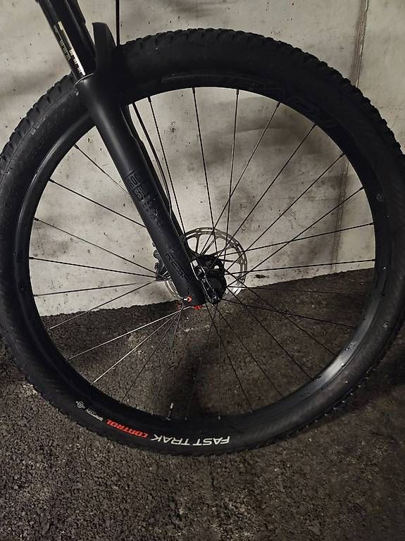 Velos: Specialized Epic Hardtail Comp 2019 – Gebraucht aus Savosa von DaniCari 2