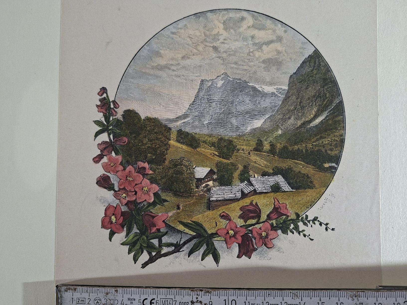 Incisioni: Lot 20, 5 Stiche  – Usato da Grindelwald venduto da carro5 7