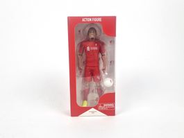 Virgil van Dijk Figur