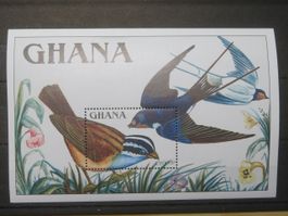 Vögel Ghana Mi 1327 Bl 148** Bergammer, Rauchschwalbe