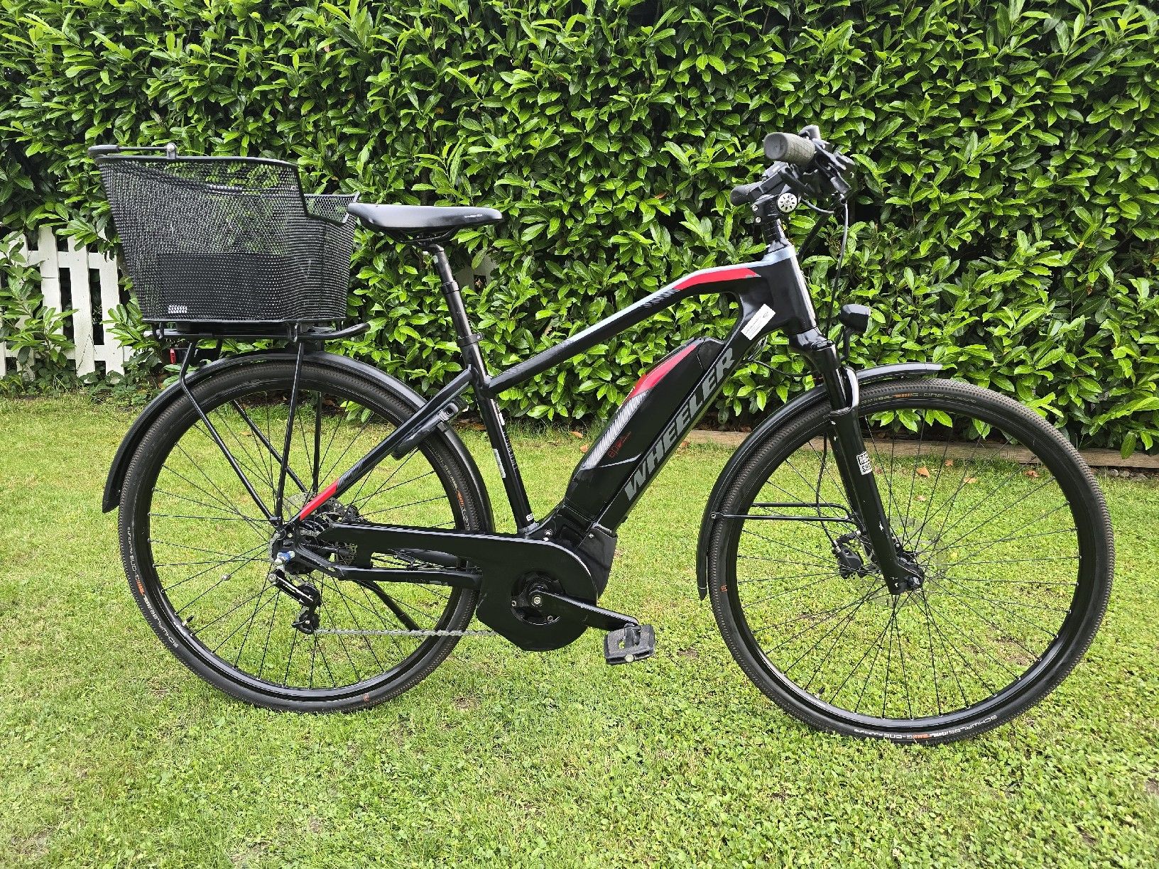 Wheeler Biciclette: Wheeler E-Bike 25 km/h – Usato da Kägiswil venduto da Qendro95 1
