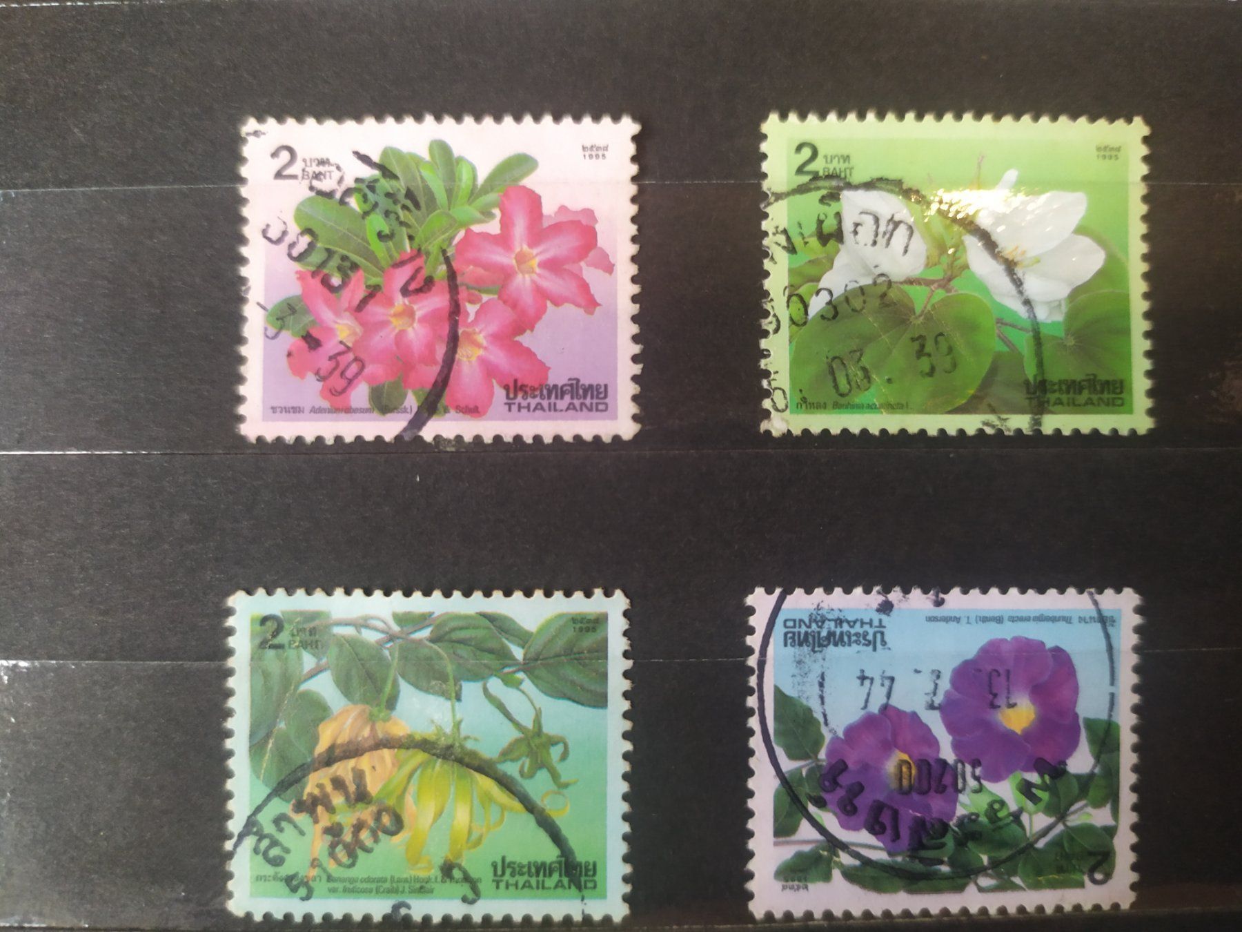 Alle Briefmarken: Thailand - Blumen 1995 – Gebraucht aus Villars-sur-Glâne von MiguelDelgado