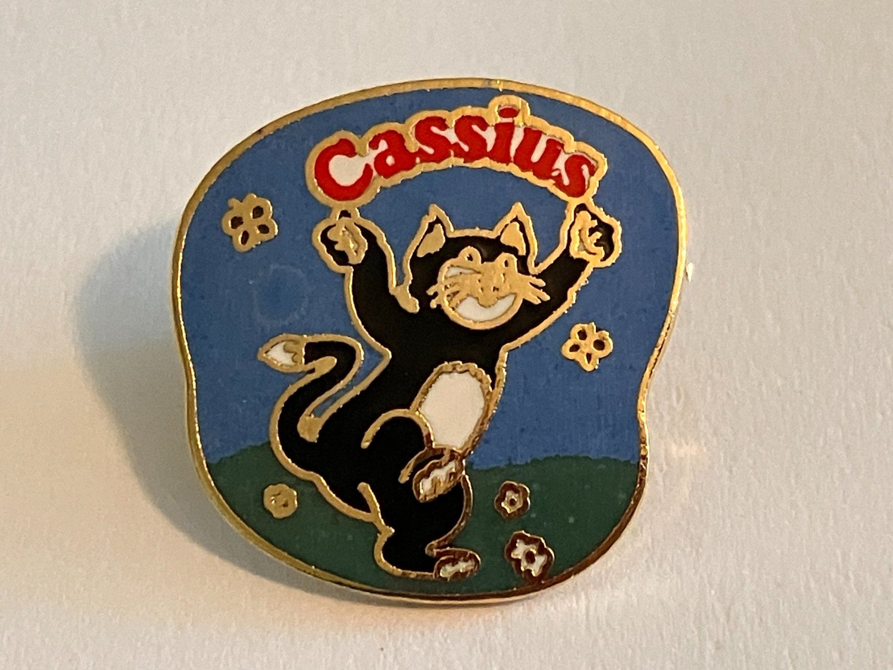 Plaketten & Abzeichen: 1 Pin Cassius – Gebraucht aus Basel von djwwpp