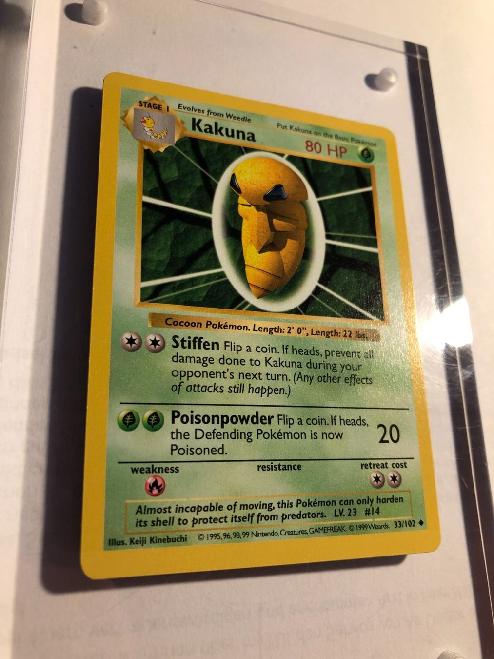 Sammelbilder & Trading cards: Kakuna (uncommon) Base Set Shadowless - MINT - ab 1.- – Gebraucht aus Giubiasco von dan_pr8b 1