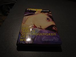 Die sanfte Gleichgültigkeit der Welt, Peter Stamm