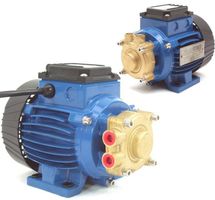 01860 Wasserpumpe 350W Kühlwasserpumpe, niedrige Bauart 230V