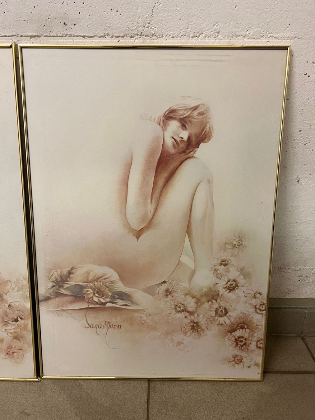 Foto & Immagini: Sara Moon Bilder – Usato da Hilterfingen venduto da Jeeone 2