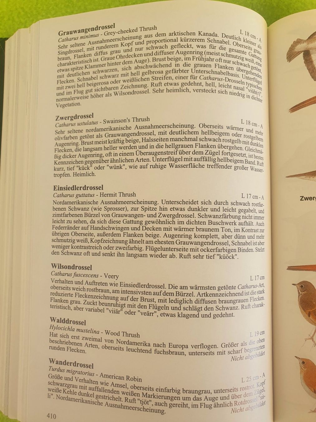 Libri: Die Vögel Europas – Usato da Steinhausen venduto da joseph-sen 8