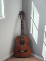 Konzertgitarre Do Santos DS50CG580 mit Tasche guter Zustand