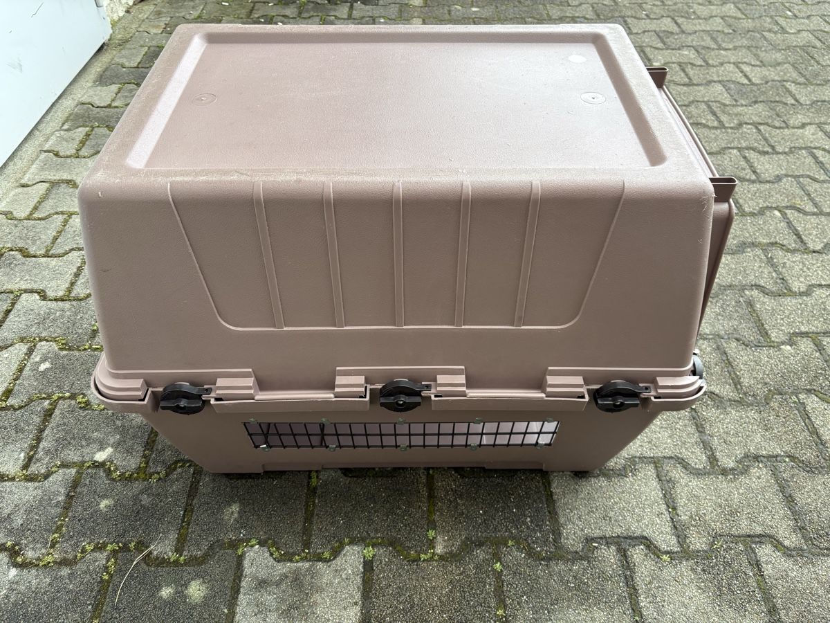 Gabbie, trasporto & Sicurezza: Hunde Box, Hartplastik – Usato da Sisseln AG venduto da art-dragoon 3