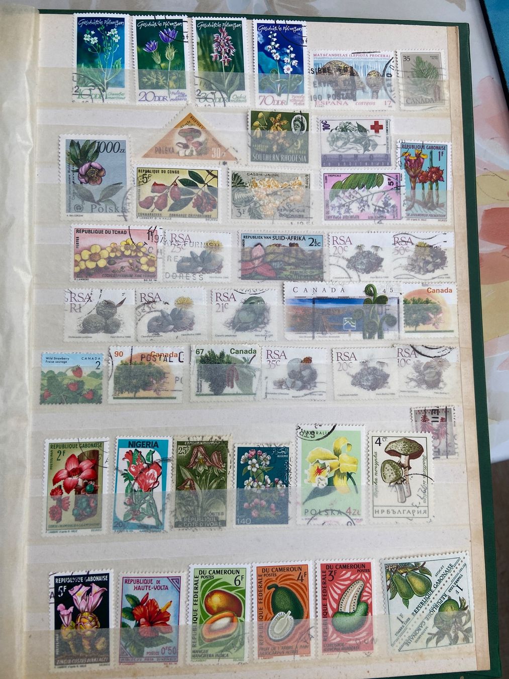 Tutti i francobolli: timbres floraux mondial 4 pages+ – Usato da Collex venduto da RCXGJ 1